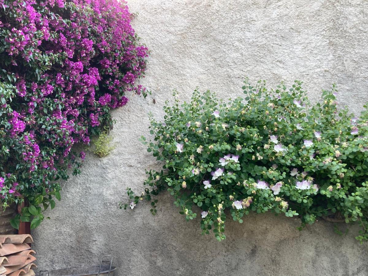 L'Antico Borgo Bed & Breakfast Milazzo Eksteriør bilde
