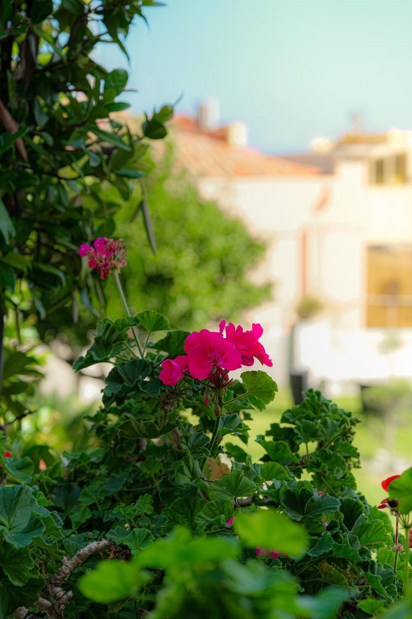 L'Antico Borgo Bed & Breakfast Milazzo Eksteriør bilde